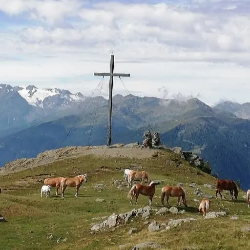 Wanderweg in den Vinschger Bergen oberhalb des Tals