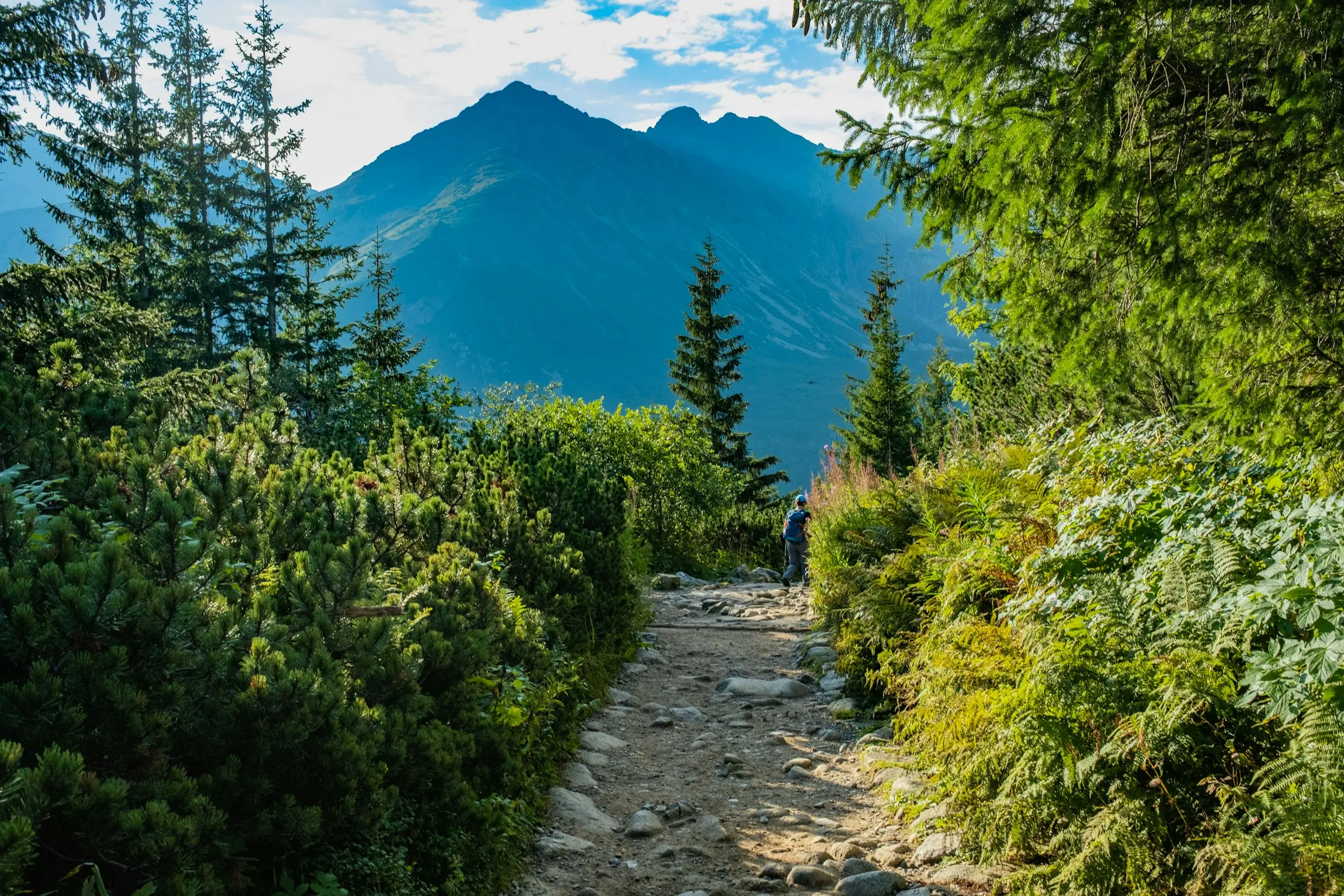 Wanderweg in den Vinschger Bergen oberhalb des Tals