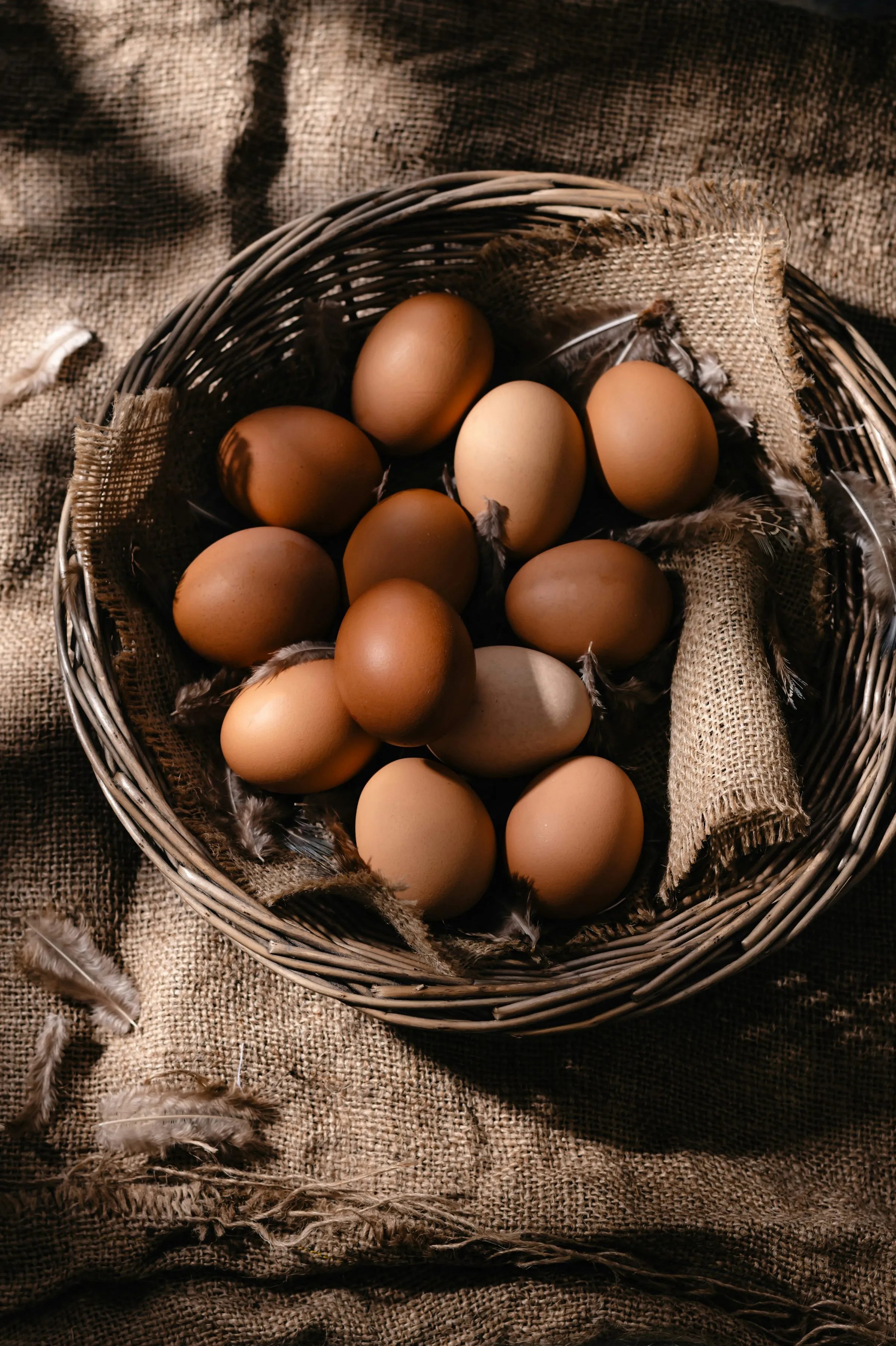 Frische Eier, Milch und Kräuter vom Bauernhof